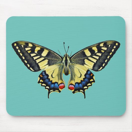 Gelber und schwarzer Schmetterling Mousepad (Vorne)