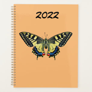Gelber und schwarzer Schmetterling Planer