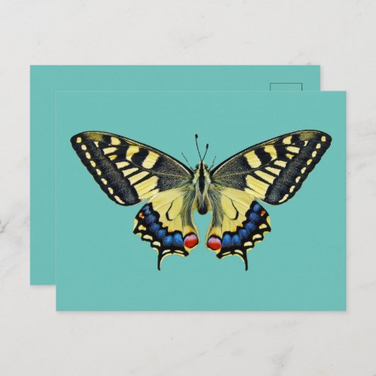 Gelber und schwarzer Schmetterling Postkarte (Vorne/Hinten)