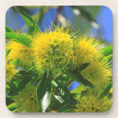 Gelber Viehbaum Getränkeuntersetzer (Vorderseite)