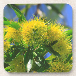 Gelber Viehbaum Getränkeuntersetzer