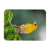 Gelber Vogel am Zweig Magnet (Horizontal)