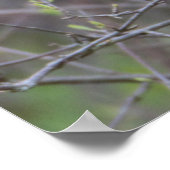 Gelber Vogel im Baumposter Poster (Ecke)