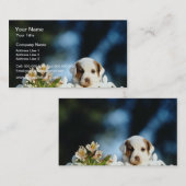 Gelber Welpe mit den braunen Ohren, die über Visitenkarte (Vorne/Hinten)