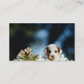 Gelber Welpe mit den braunen Ohren, die über Visitenkarte (Rückseite)