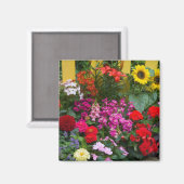 Gelber Zaun mit Blumengarten in Magnet (Vorderseite/Rückseite)