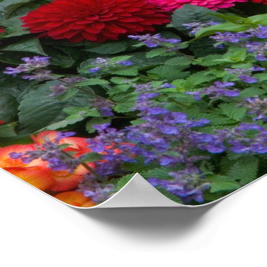 Gelber Zaun mit Blumengarten in Poster (Ecke)