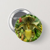 Gelber Zebra Stripes Orchidee Button (Vorne & Hinten)