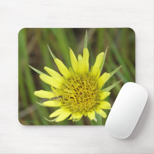 Gelber Ziegenbart der Wildblume-F41 Mousepad (Mit Mouse)