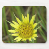 Gelber Ziegenbart der Wildblume-F41 Mousepad (Vorne)