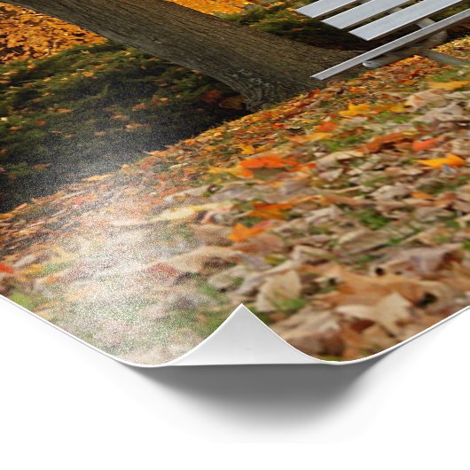 Gelbes Ahornbaum Foto Printwerbung (Ecke)