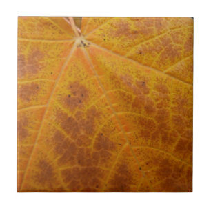 Gelbes Ahornblatt Herbst Abstrakt Natur Fliese