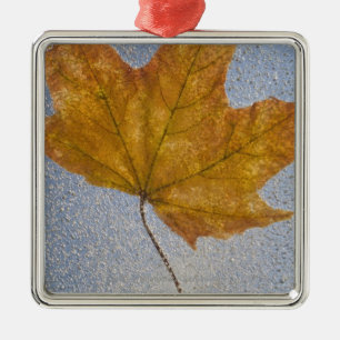 Gelbes Ahornblatt unter Wasser Ornament Aus Metall
