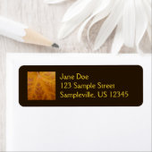 Gelbes Ahornblättern Herbst Abstrakte Natur (Insitu)