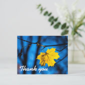 Gelbes Ahornleaf auf blau Postkarte (Stehend Vorderseite)