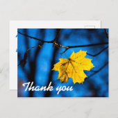 Gelbes Ahornleaf auf blau Postkarte (Vorne/Hinten)