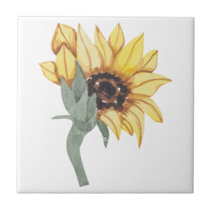 Gelbes Aquarell-Sonnenblumen-Keramikfliese Fliese