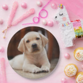 Gelbes Baby-Labrador Welpenhund auf Bauch Pappteller (Party)