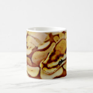 Gelbes Ball-Pythonschlange-wirklich nahes hohes Kaffeetasse