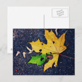 Gelbes Blatt Postkarte (Vorne/Hinten)