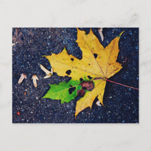 Gelbes Blatt Postkarte