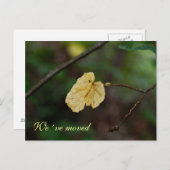 Gelbes Blatt wir haben Postkarte verschoben (Vorne/Hinten)