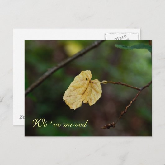 Gelbes Blatt wir haben Postkarte verschoben (Vorne/Hinten)