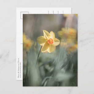 Gelbes Blossom Dinatriumnatur-Foto Postkarte