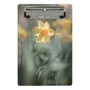 Gelbes Blossom NaturFoto Mini Klemmbrett