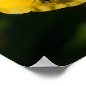 Gelbes Blume-Posterpapier (Matte) Poster (Ecke)