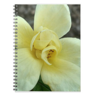 Gelbes Blumen-Notizbuch Notizblock