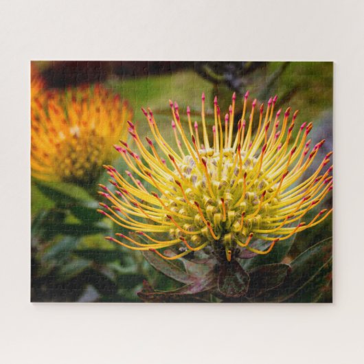 Gelbes Button Kissen Kula Puzzle (Horizontal)