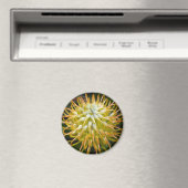 Gelbes Button Kissen Protea Blume Magnet (In Situ (Geschirrspüler))