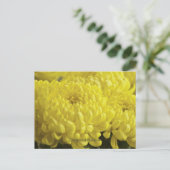 Gelbes Chrysanthemum-Makrofoto Postkarte (Stehend Vorderseite)