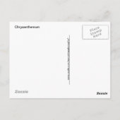 Gelbes Chrysanthemum-Makrofoto Postkarte (Rückseite)