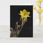 Gelbes Columbine Karte (Gelbe Blume)