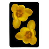 Gelbes Crocus Premium Magnet (Vertikal)