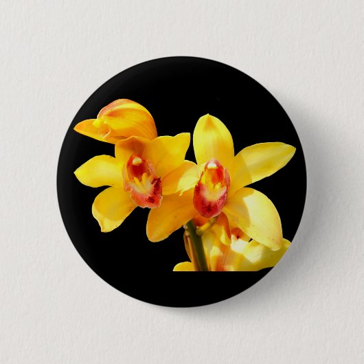 Gelbes Cymbidium Orchid-Abzeichen Button (Vorderseite)