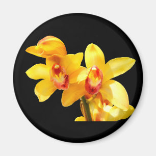 Gelbes Cymbidium Orchid Magnet