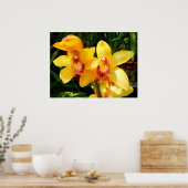 Gelbes Cymbidium Orchid Poster (Küche)