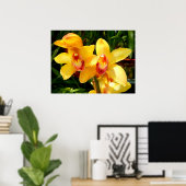 Gelbes Cymbidium Orchid Poster (Heimbüro)