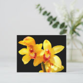 Gelbes Cymbidium Orchidee Postkarte (Stehend Vorderseite)