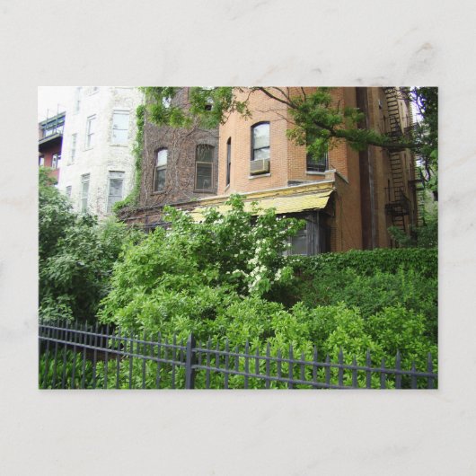 Gelbes Dach und Garten Postkarte (Vorderseite)