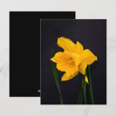 Gelbes Daffodil Feiertagskarte (Vorne/Hinten)