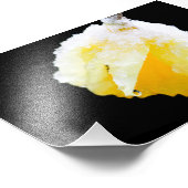 Gelbes Daffodil im Winterschnee bedeckt Fotodruck (Ecke)