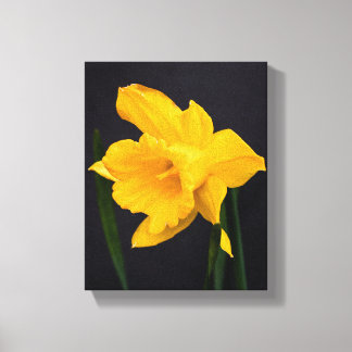 Gelbes Daffodil Leinwanddruck