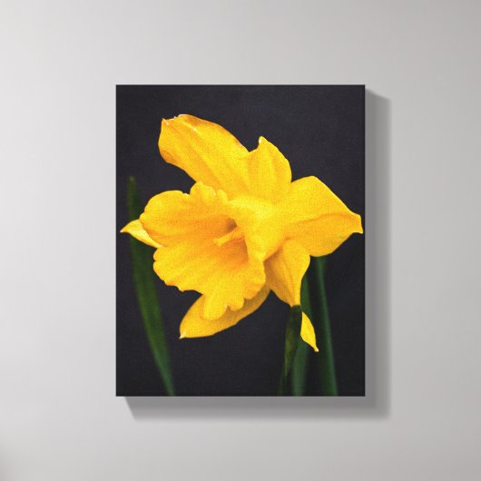 Gelbes Daffodil Leinwanddruck (Vorderseite)
