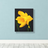 Gelbes Daffodil Leinwanddruck (Insitu (Holzboden))