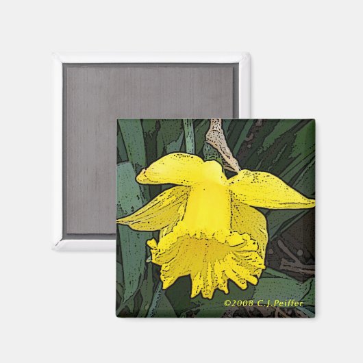 'Gelbes Daffodil' Magnet (Vorderseite/Rückseite)