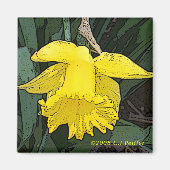 'Gelbes Daffodil' Magnet (Vorne)